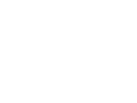 Horizon global